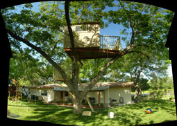 Entire treehouse from the side